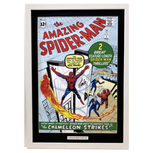 Spider-Man Large Canvas Personally Signe by Stan Lee