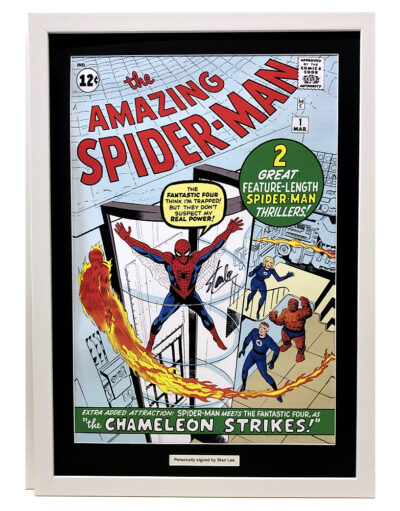 Spider-Man Large Canvas Personally Signe by Stan Lee