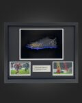 Cristiano Ronaldo Signed Boot