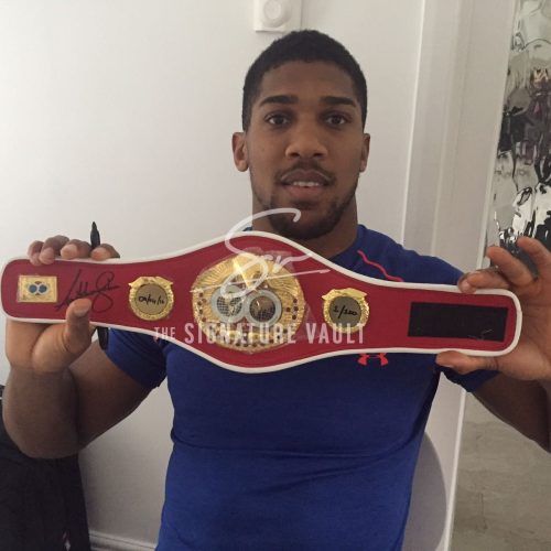 anthony-joshua-proof-of-signings-19061621